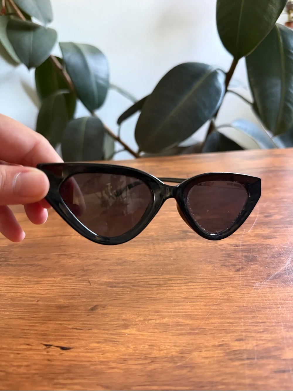 Black Cat-Eye Women's Sunglasses - Classic Style Steve Madden